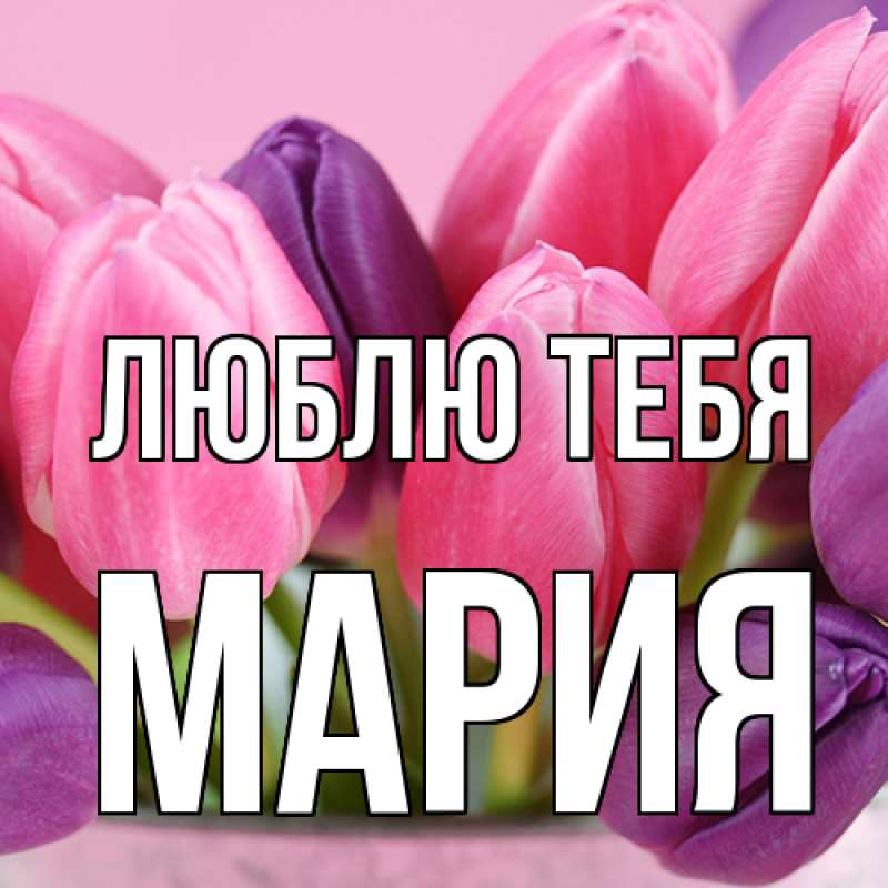 Картинка Люблю тебя, Мария