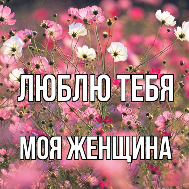 Картинка Люблю тебя, Моя женщина