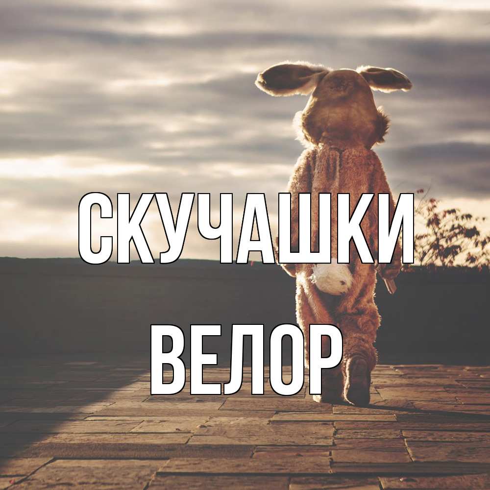 Открытка на каждый день с именем, Велор Скучашки даже в костюме зайца Прикольная открытка с пожеланием онлайн скачать бесплатно 