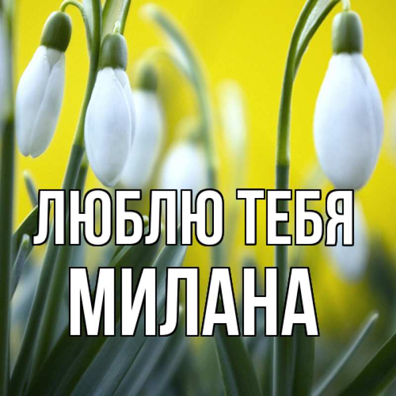 Картинка Люблю тебя, Милана