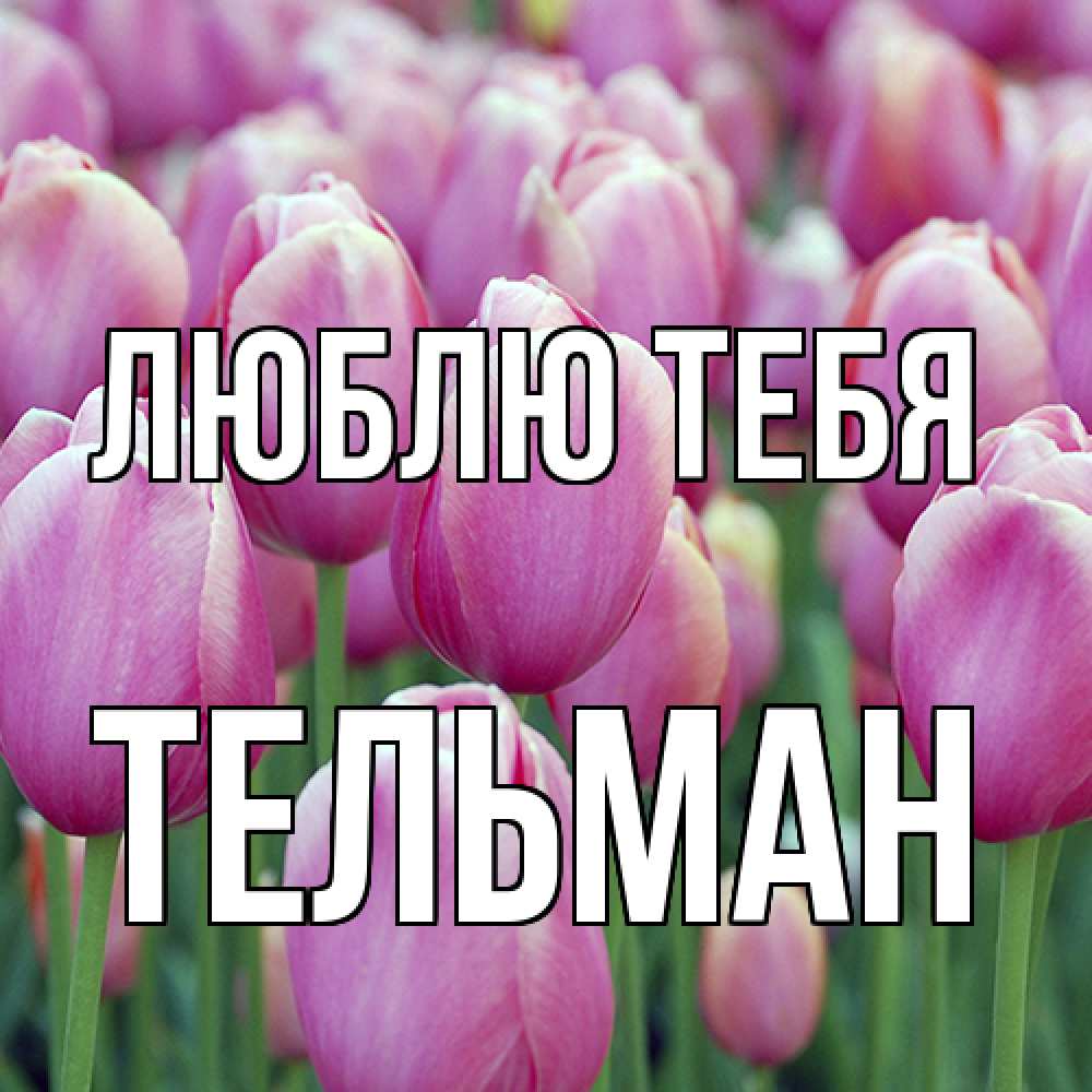 Открытка на каждый день с именем, Тельман Люблю тебя на международный женский день 3 Прикольная открытка с пожеланием онлайн скачать бесплатно 