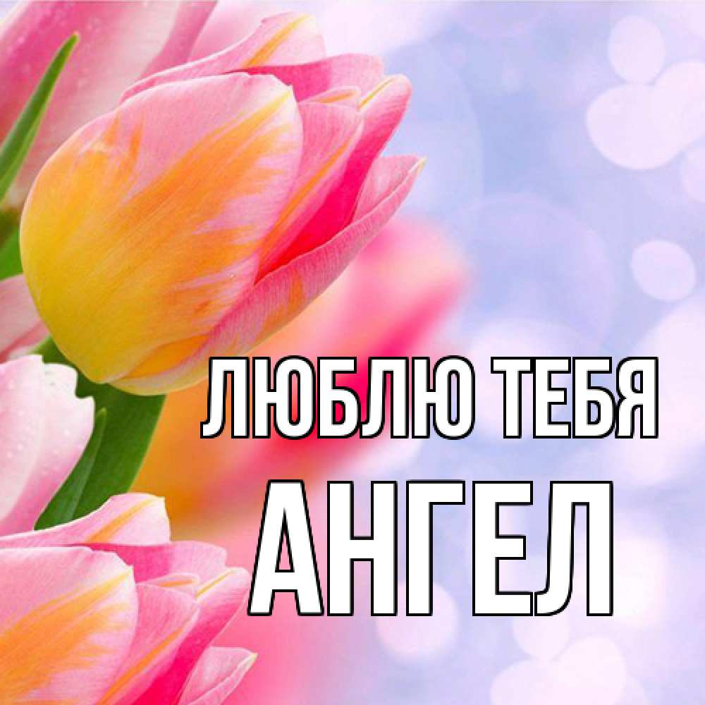 Открытка на каждый день с именем, Ангел Люблю тебя тюльпаны 2 Прикольная открытка с пожеланием онлайн скачать бесплатно 