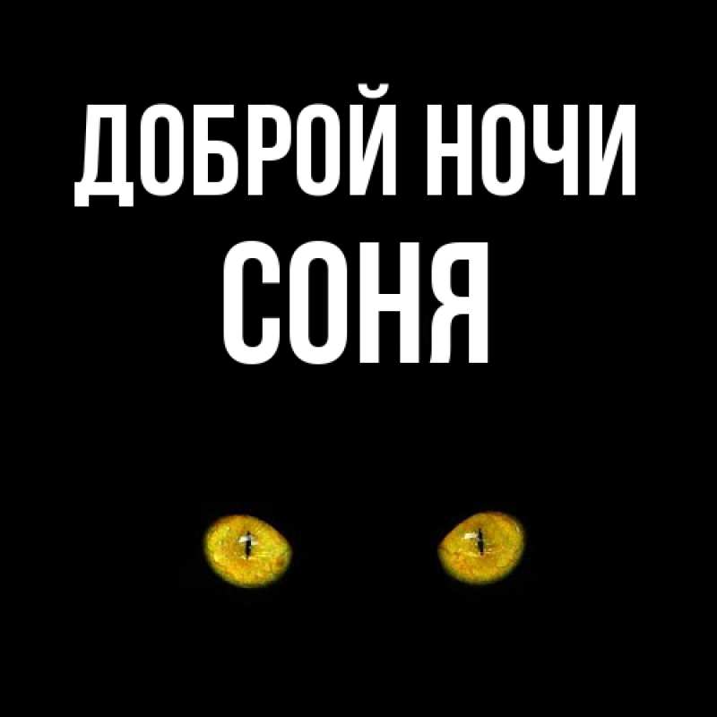 Картинка Доброй ночи, Соня