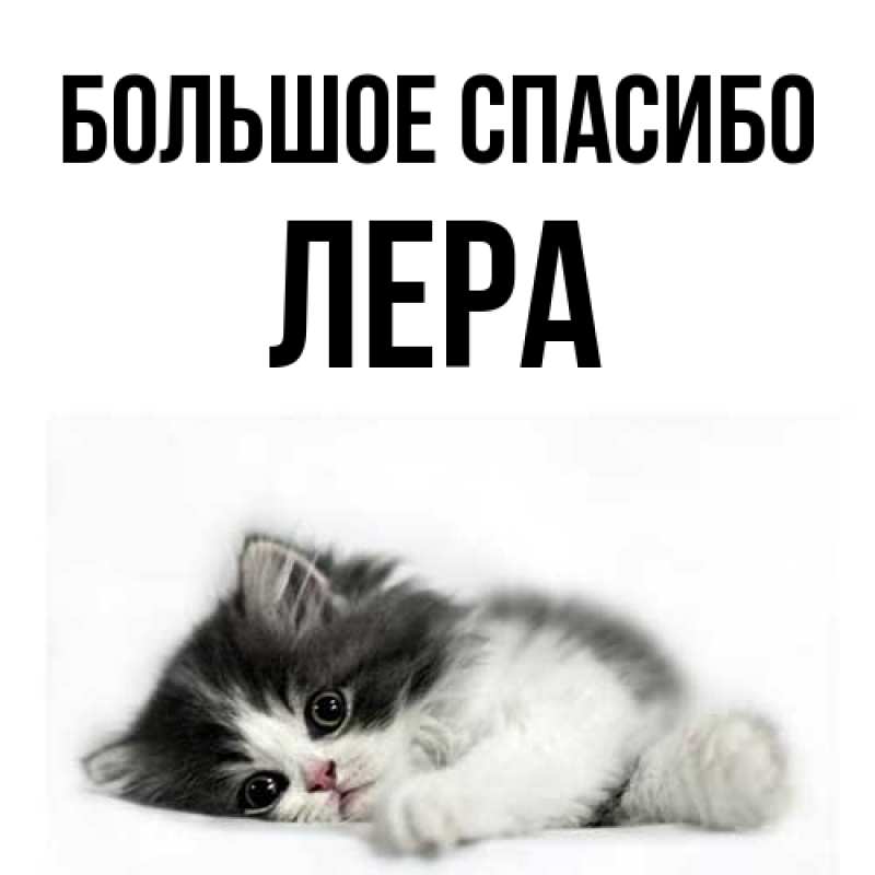 Открытка с именем, Лера, Большое спасибо