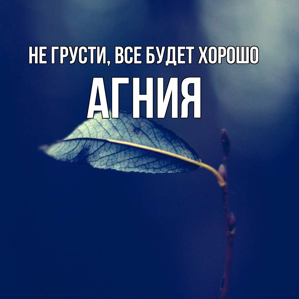 Открытка на каждый день с именем, Агния Не грусти все будет хорошо растение Прикольная открытка с пожеланием онлайн скачать бесплатно 