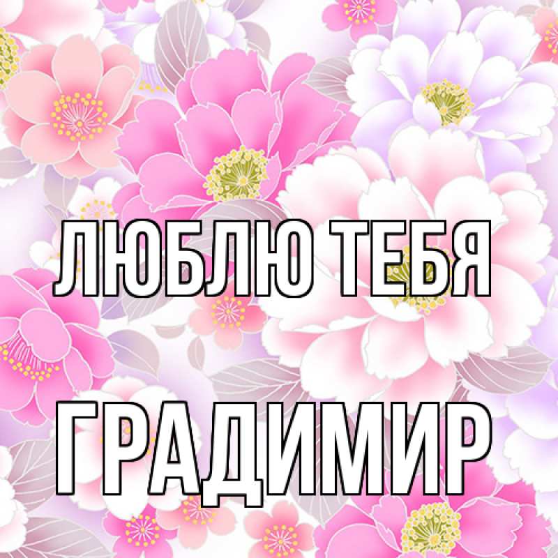 Картинка Люблю тебя, Градимир