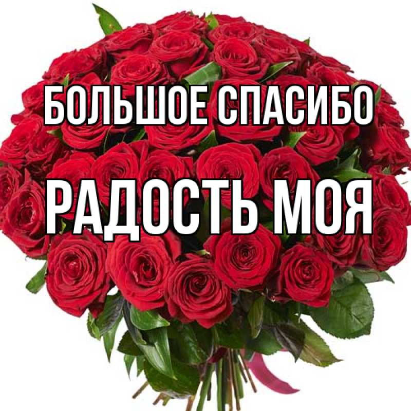 Картинка Большое спасибо, Радость моя