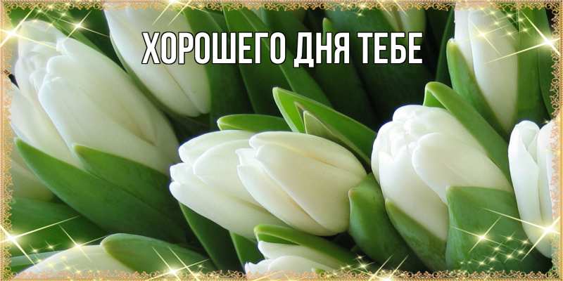 Картинка Люблю тебя, Мирдза