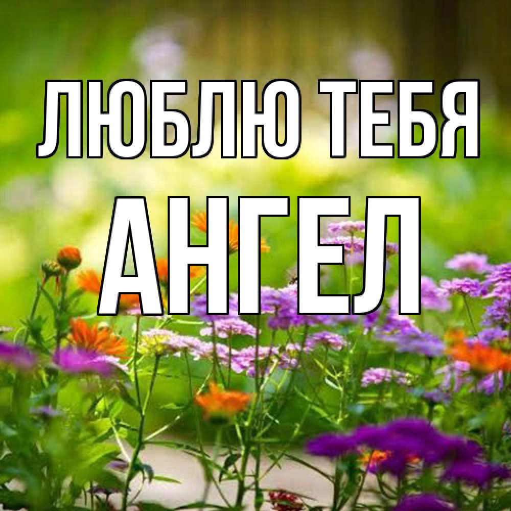 Открытка на каждый день с именем, Ангел Люблю тебя цветы Прикольная открытка с пожеланием онлайн скачать бесплатно 