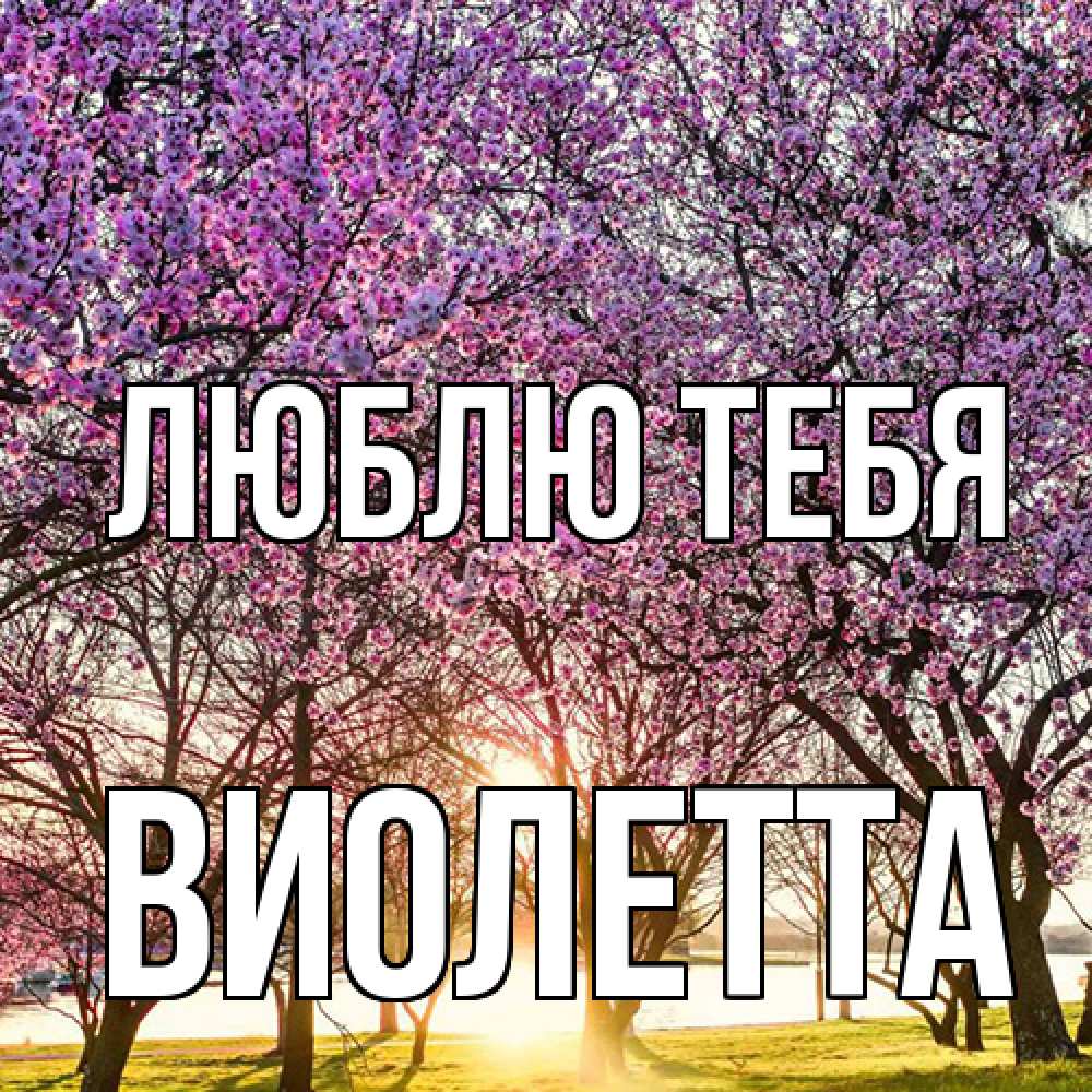 Открытка на каждый день с именем, Виолетта Люблю тебя международный женский день Прикольная открытка с пожеланием онлайн скачать бесплатно 