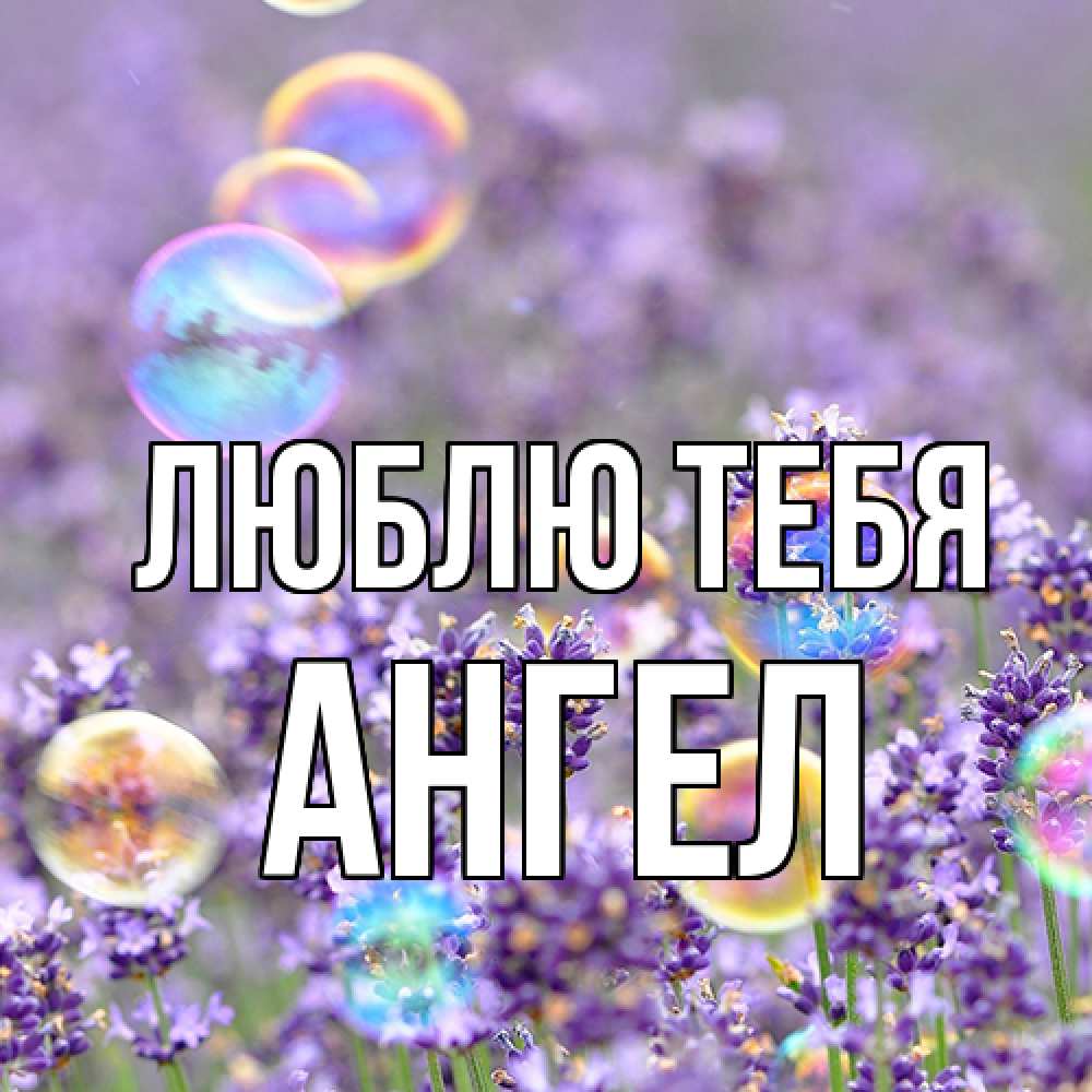Открытка на каждый день с именем, Ангел Люблю тебя цветы Прикольная открытка с пожеланием онлайн скачать бесплатно 