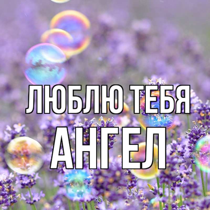 Картинка Люблю тебя, Ангел