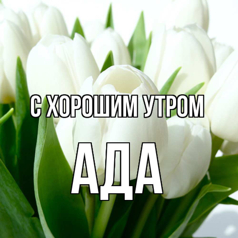 Открытка на каждый день с именем, Ада С хорошим утром открытки на каждый день по именам Прикольная открытка с пожеланием онлайн скачать бесплатно 