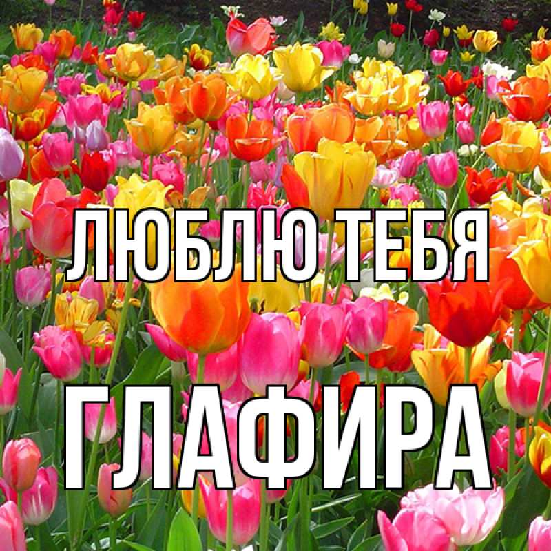 Картинка Люблю тебя, Глафира
