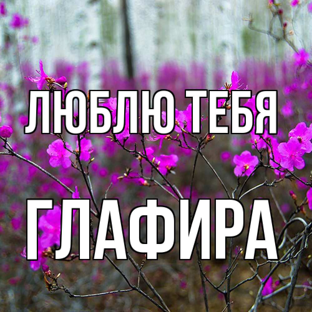Открытка на каждый день с именем, Глафира Люблю тебя дикие цветы Прикольная открытка с пожеланием онлайн скачать бесплатно 