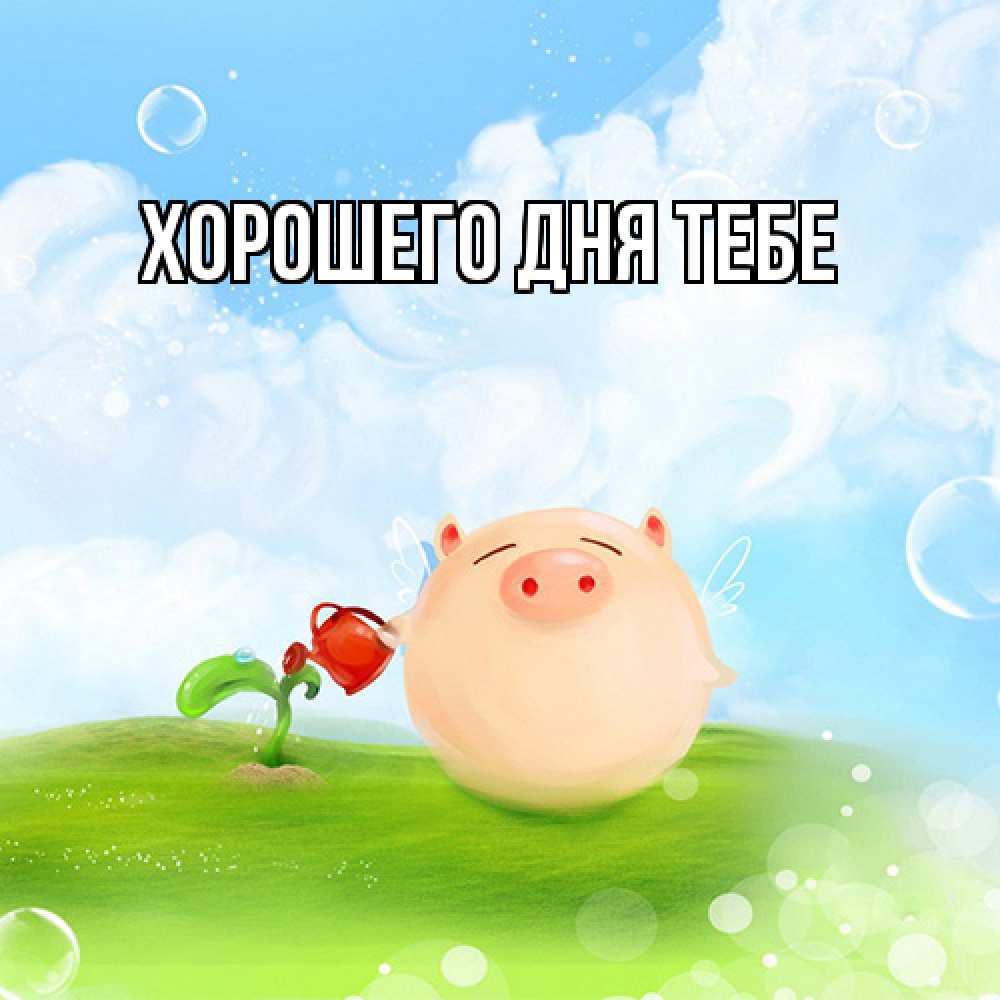 Открытка на каждый день с именем, Кирилл Удачи тебе поросенок поливает цветок. летнее настроение Прикольная открытка с пожеланием онлайн скачать бесплатно 