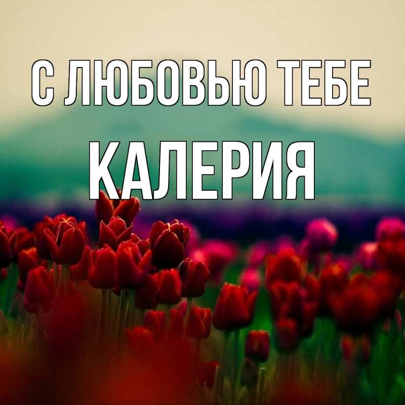 Картинка С любовью тебе, Калерия