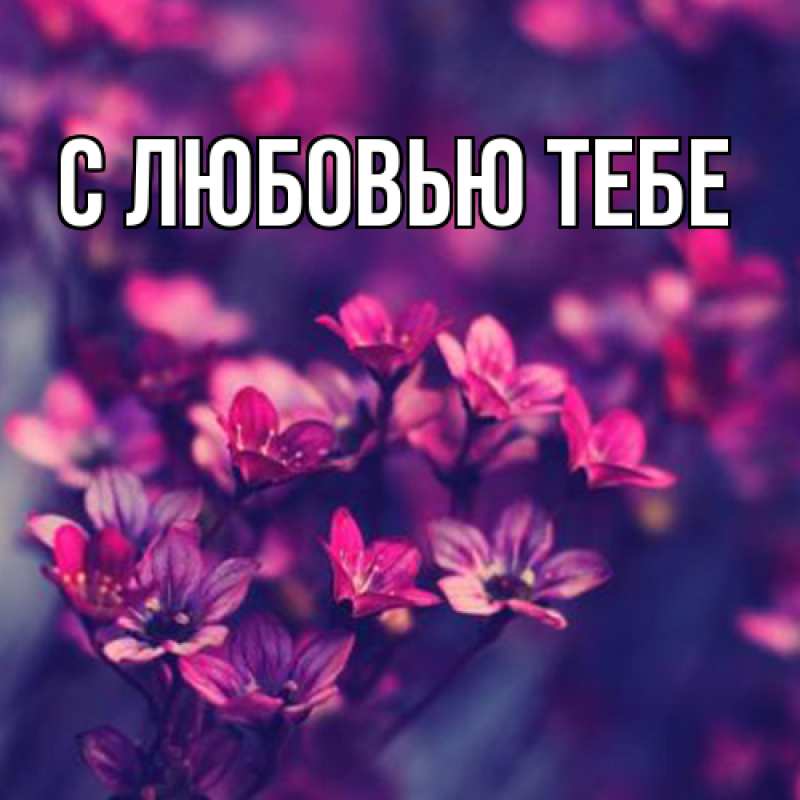 Картинка Люблю тебя, Май