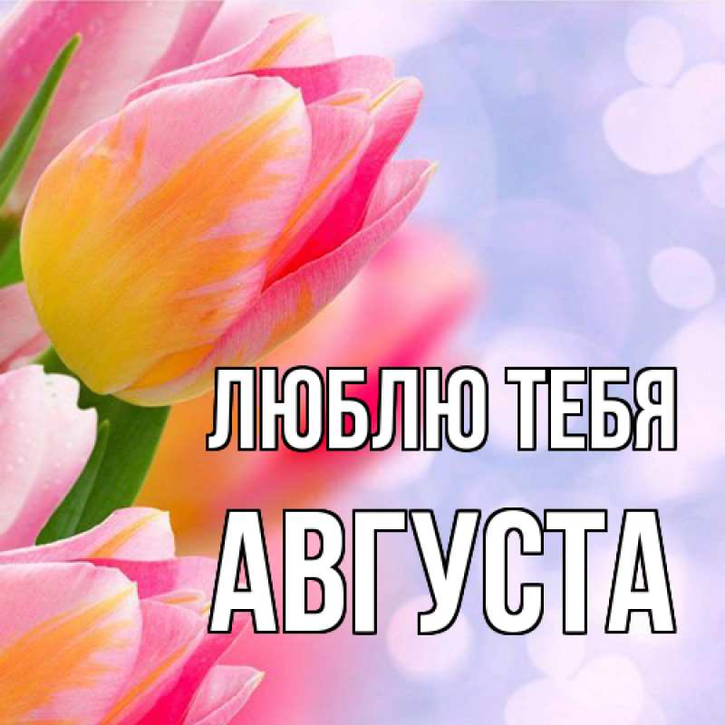 Картинка Люблю тебя, Августа