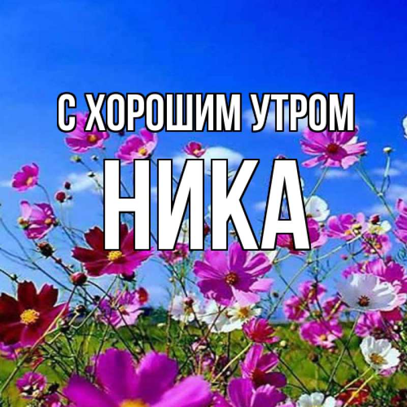 Картинка С хорошим утром, Ника