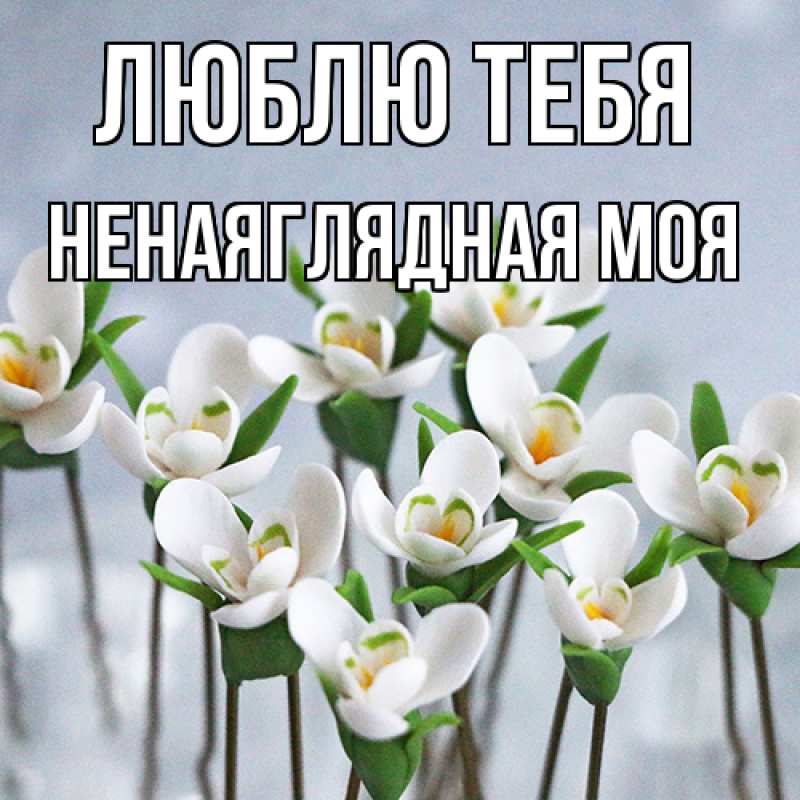 Картинка Люблю тебя, Ненаяглядная моя