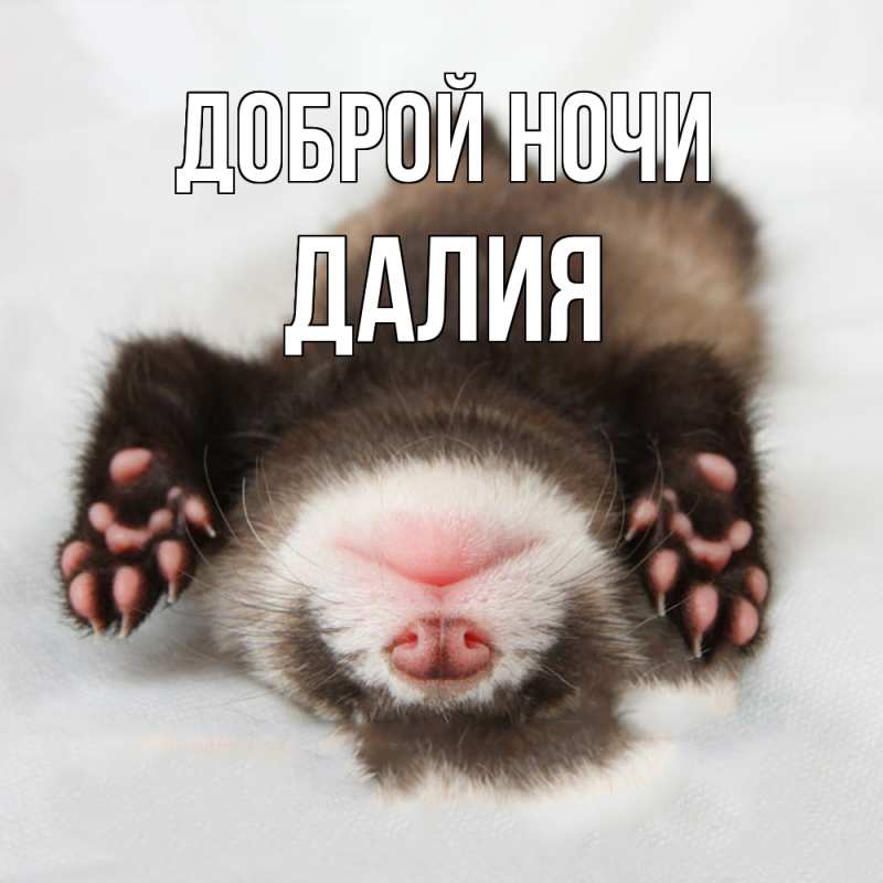 Картинка Доброй ночи, Далия