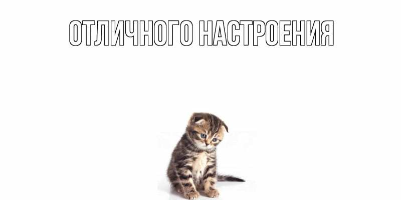 Картинка Скучашки, Песподобная