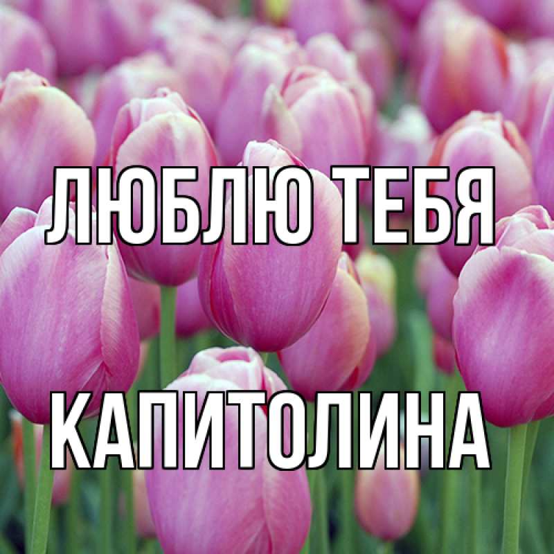 Открытка с именем, Капитолина, Люблю тебя