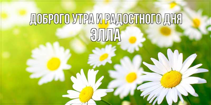 Картинка Доброго утра и радостного дня, Элла