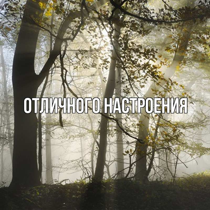 Картинка Скучашки, Песподобная