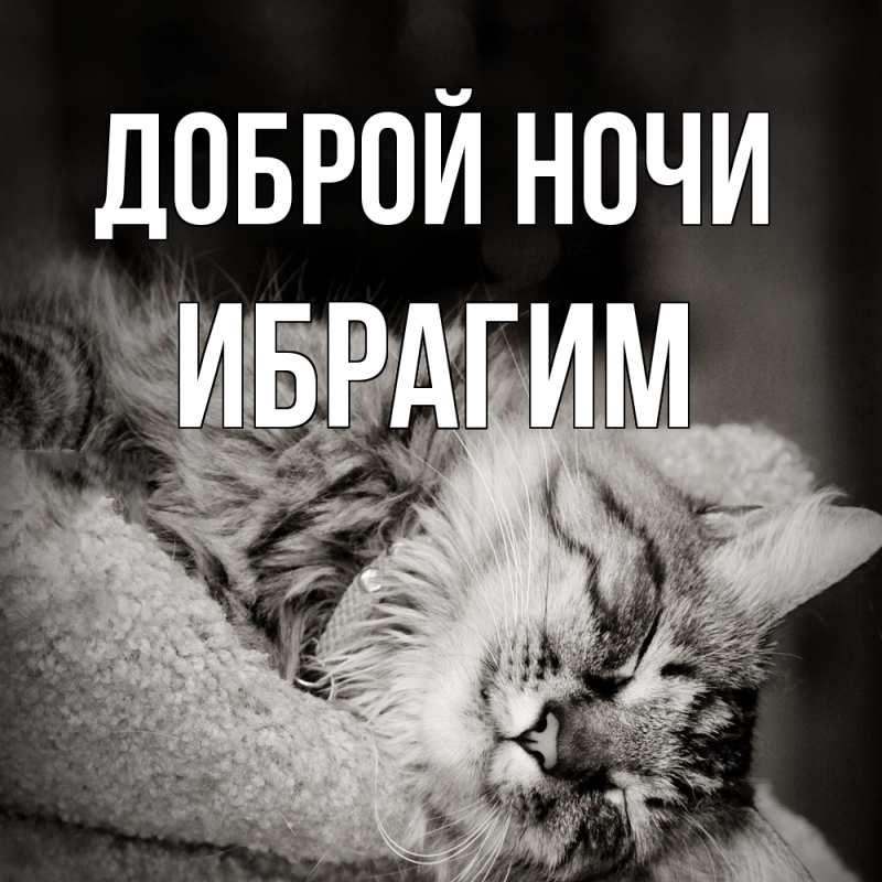 Картинка Доброй ночи, Ибрагим