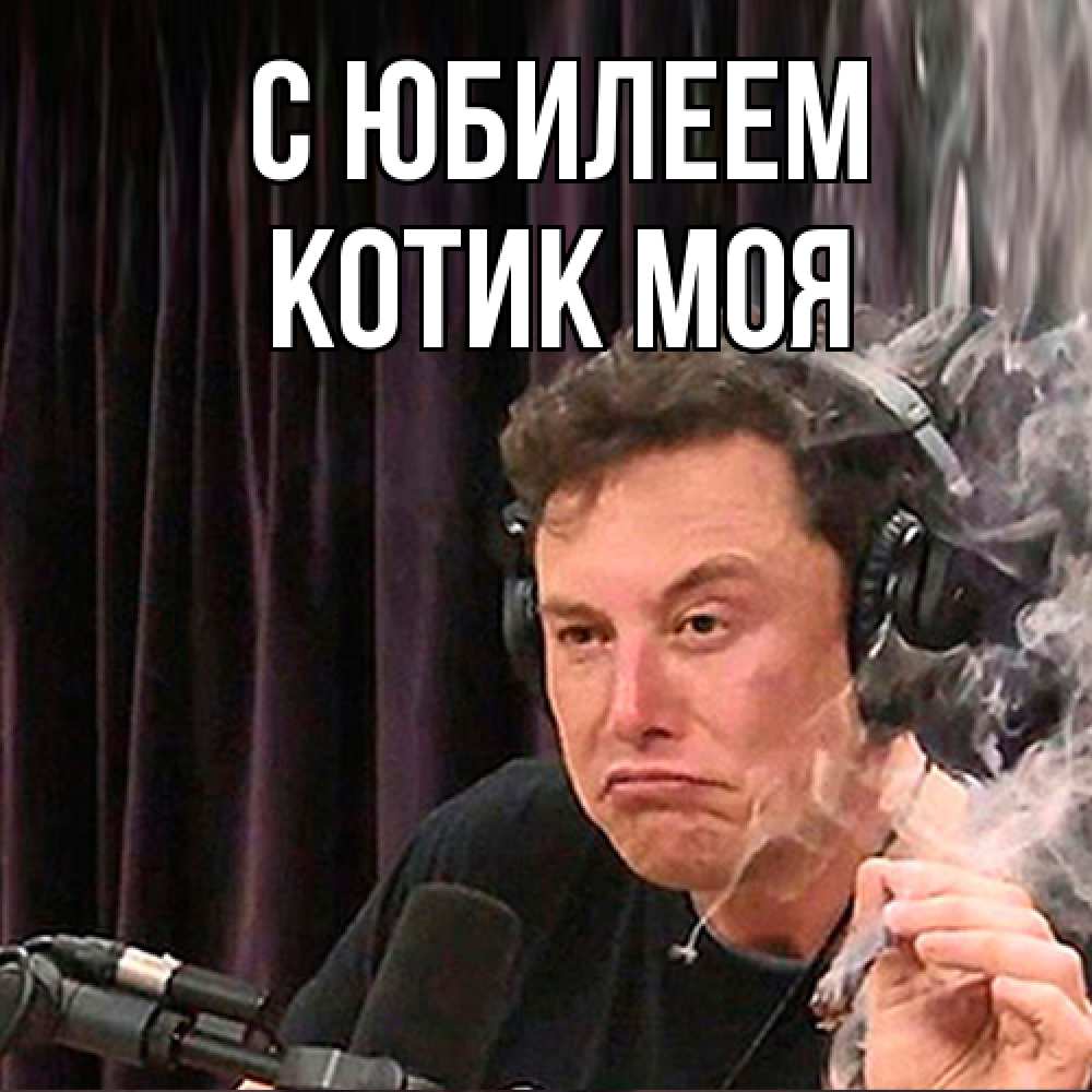 Открытка на каждый день с именем, Котик-моя C юбилеем МЕМ Прикольная открытка с пожеланием онлайн скачать бесплатно 