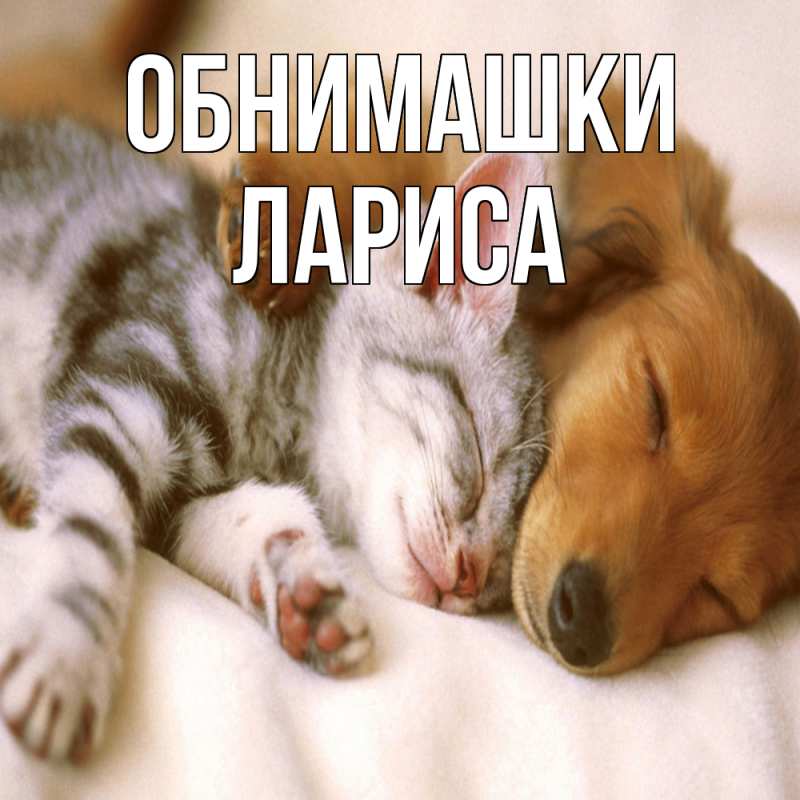 Открытка с именем, Лариса, Обнимашки