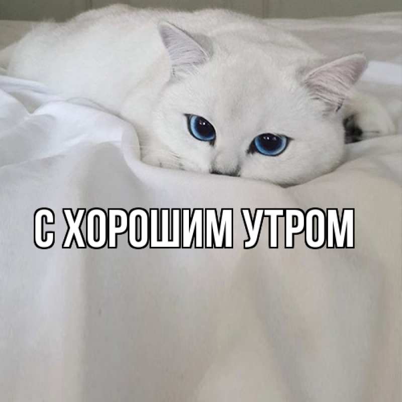 Картинка Я жду тебя, Ваня