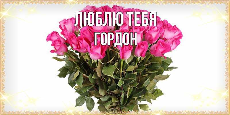 Картинка Люблю тебя, Гордон