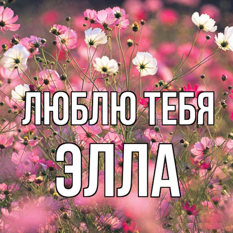 Открытка с именем, Элла, Люблю тебя