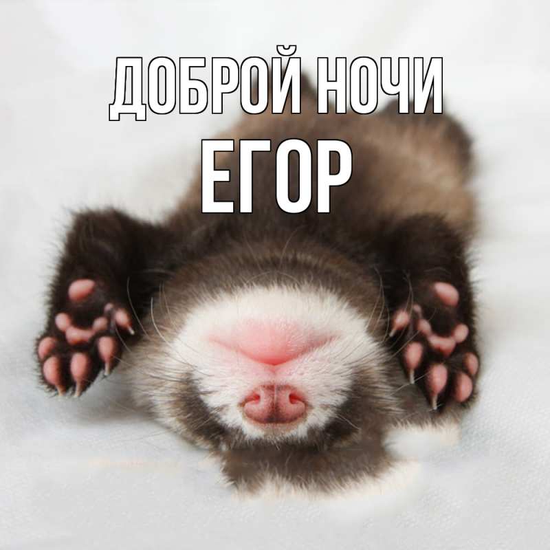 Картинка Доброй ночи, Егор