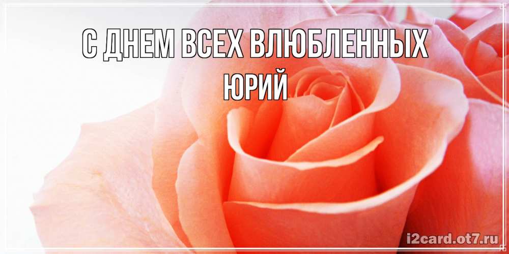 Открытка на каждый день с именем, Юрий С днем всех влюбленных открытка на день Святого Валентина с розовой розой Прикольная открытка с пожеланием онлайн скачать бесплатно 