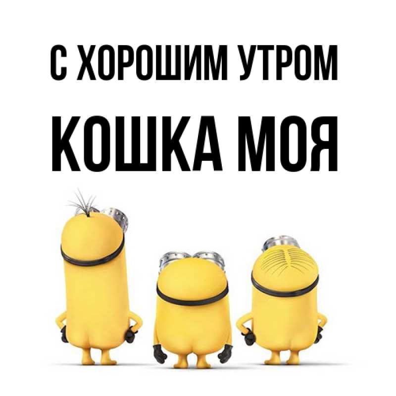 Картинка С хорошим утром, Кошка моя