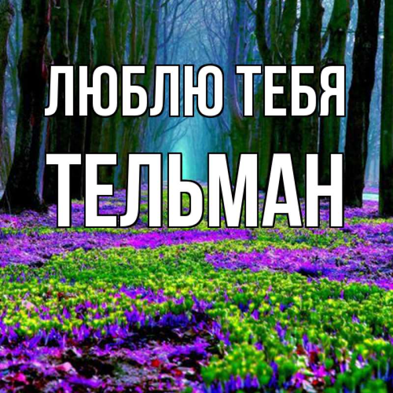 Картинка Люблю тебя, Тельман