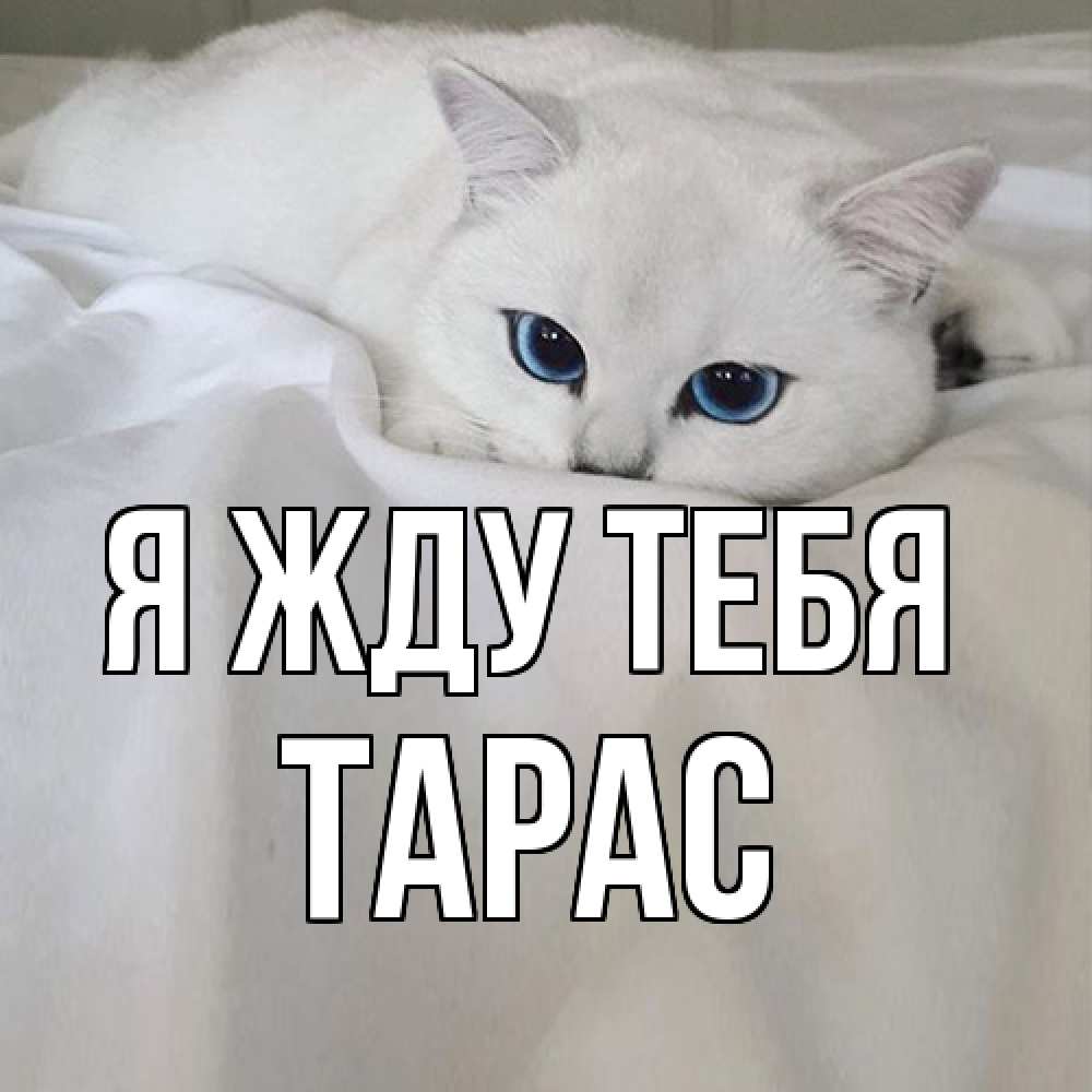 Открытка на каждый день с именем, Тарас Я жду тебя я очень по тебе скучаю и тоскую Прикольная открытка с пожеланием онлайн скачать бесплатно 