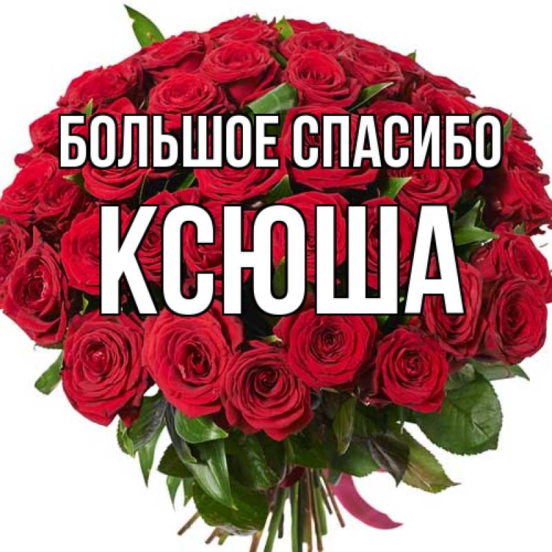 Картинка Большое спасибо, Ксюша