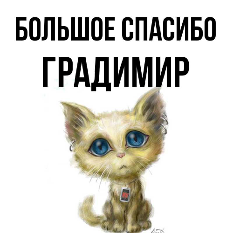 Картинка Большое спасибо, Градимир