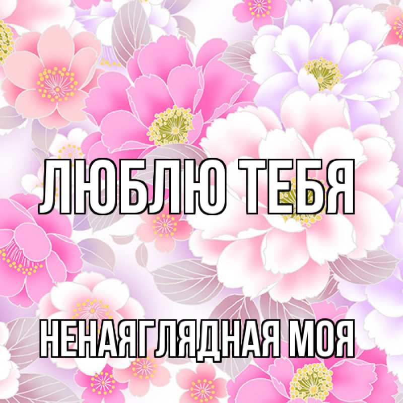 Картинка Люблю тебя, Ненаяглядная моя