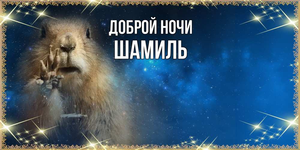 Открытка на каждый день с именем, Шамиль Доброй ночи спокойной ночи сладких снов Прикольная открытка с пожеланием онлайн скачать бесплатно 