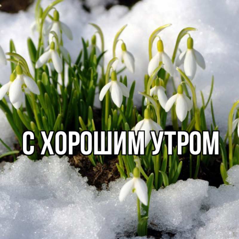 Открытка с именем, Лука, Люблю тебя