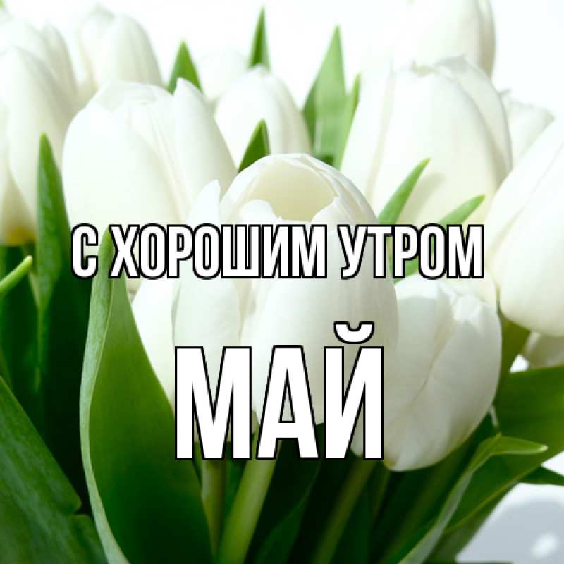 Картинка С хорошим утром, Май