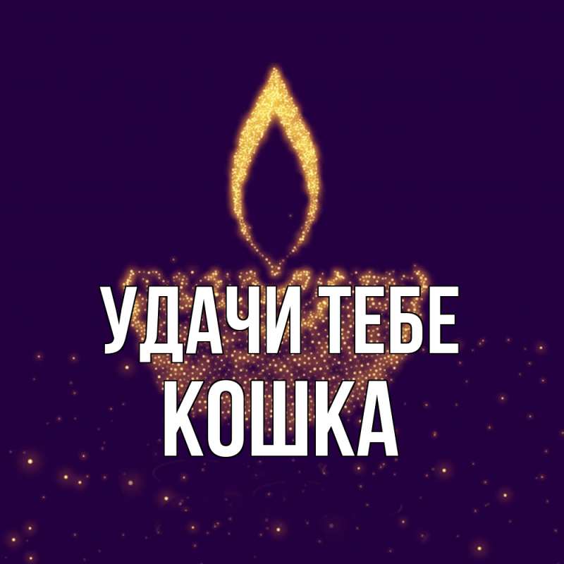 Картинка Удачи тебе, Кошка