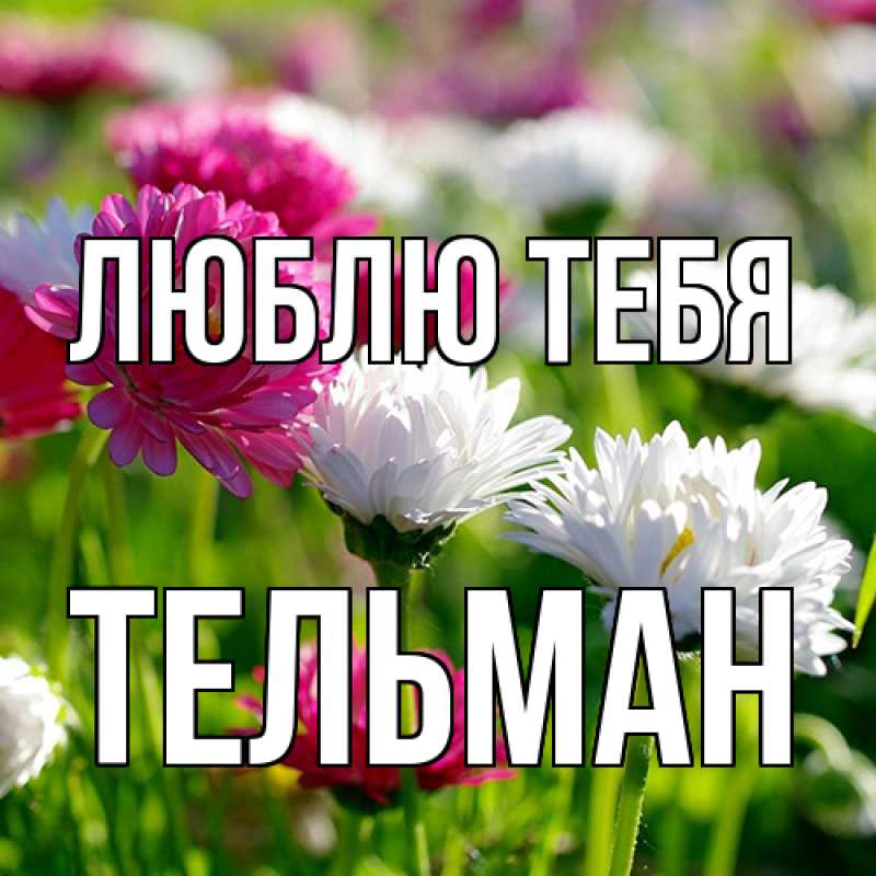 Картинка Люблю тебя, Тельман