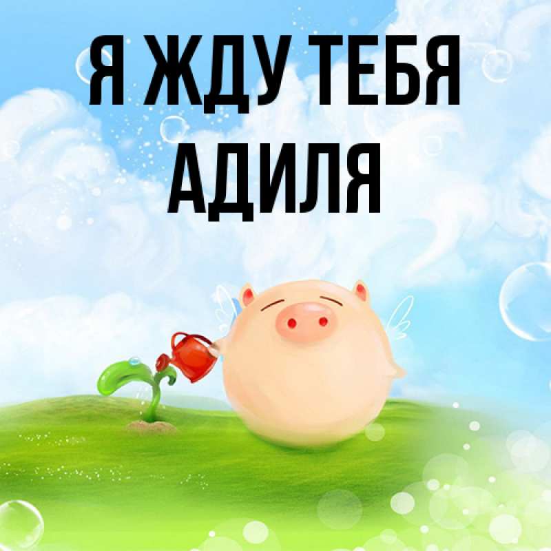 Картинка Я жду тебя, Адиля